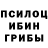 Галлюциногенные грибы Cubensis Mysterious Cee
