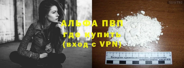 ГАЛЛЮЦИНОГЕННЫЕ ГРИБЫ Покров