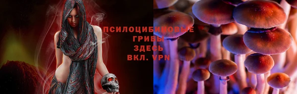 не бодяженный Дмитриев