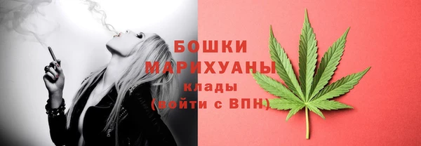 ГАЛЛЮЦИНОГЕННЫЕ ГРИБЫ Покров