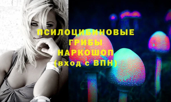 ГАЛЛЮЦИНОГЕННЫЕ ГРИБЫ Покров