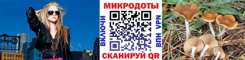 сайты даркнета формула  цены наркотик  Сегежа  Галлюциногенные грибы прущие грибы 