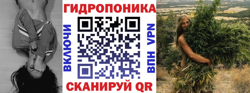 купить наркотик  Сегежа  Бошки Шишки THC 21% 